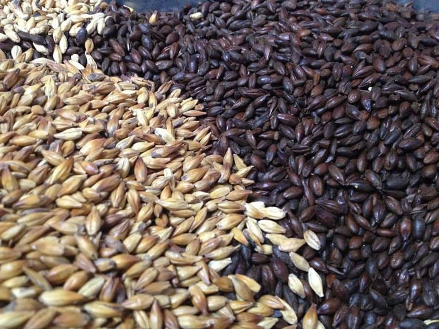 barleycorns at 'Chios Beer' premises